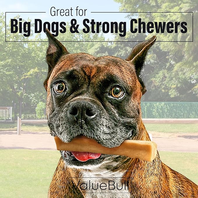 ValueBull Himalayan Yak Cheese Dog Chews, Large, 50 ct Wholesale Pack - Long Lasting for Aggressive Chewers, All Natural, Healthy & Safe, Low Odor Nepal Yak Milk Chews-Mewly Pet