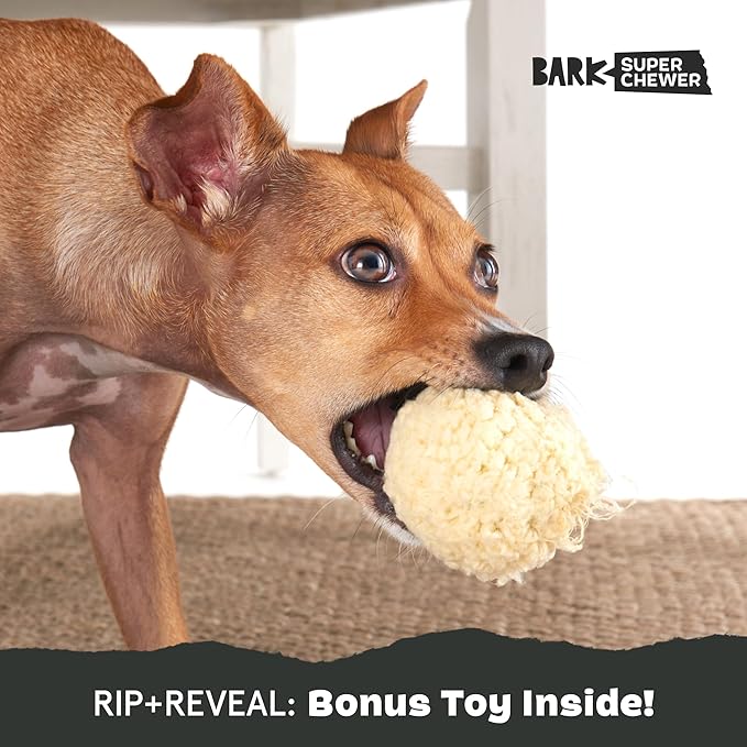 Barkbox Super Chewer Tough Dog Chew Toys for Aggressive Chewers, Plush 2 Toys in 1 (Potato - Small)-Mewly Pet