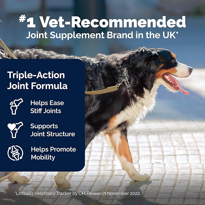 YuMOVE Hip & Joint Supplement for Dogs - with Glucosamine Chondroiton, Green Lipped Mussel, Hyaluronic Acid, and Omega 3 Joint Supplement for Stiffness and Mobility 60 Chews (Large/XL Dogs)-Mewly Pet