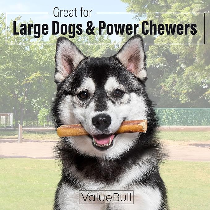 ValueBull Bully Sticks for Large Dogs, Jumbo 6 Inch, 50 Count - All Natural, Grass Fed, Single Ingredient, Long Lasting Dog Treats for Aggressive Chewers-Mewly Pet