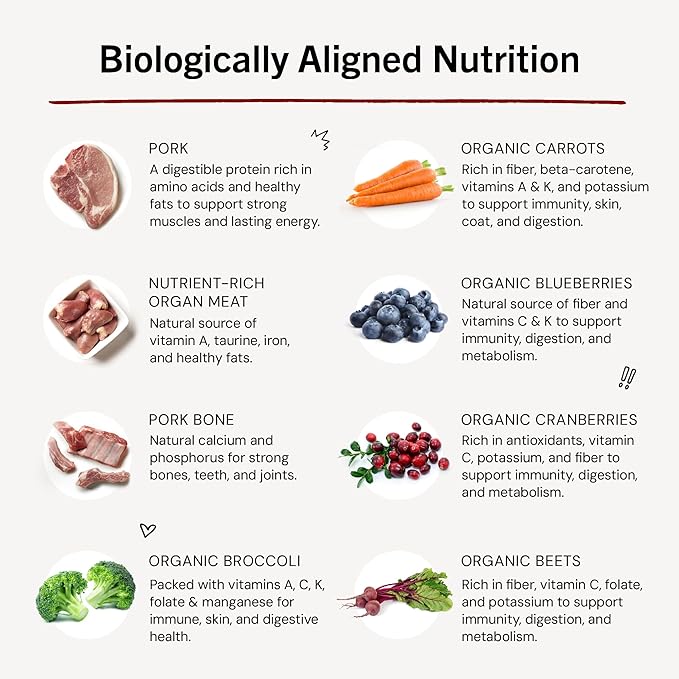 Stella & Chewy's Freeze-Dried Raw Dinner Patties - Purely Pork Recipe - High Protein Grain-Free Puppy & Dog Food - Perfect For Picky Eaters - 14 oz-Mewly Pet