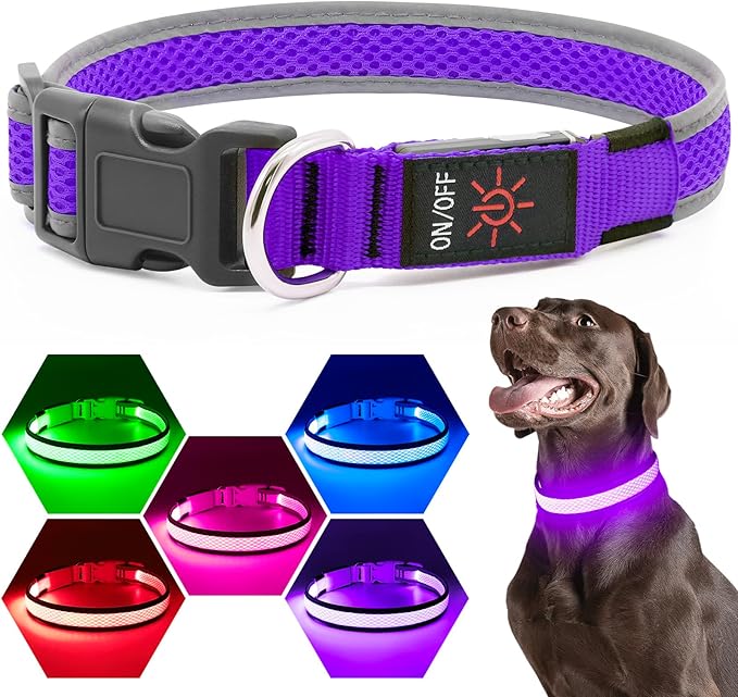 Flashseen LED Dog Collar, USB Rechargeable Light Up Dog Collar Lights, Adjustable Comfortable Soft Mesh Safety Pet Collar for Small, Medium, Large Dogs (Purple, Small)-Mewly Pet