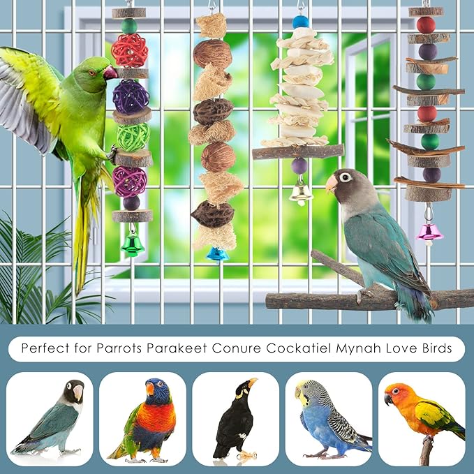 Bissap Bird Chew Toys, 5 Packs Parakeet Natural Wood Toys Parrot Hanging Cage Toy Bird Perch Stand for Small Bird Conure Cockatiel Parrotlet Lovebird Budgie-Mewly Pet