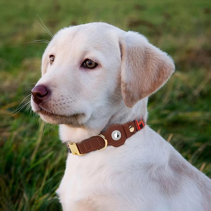 AirTag Dog Collar for Small Medium Large Breed - Adjustable Cute Pattern Dog Collar with Airtag Holder - Soft Leather Tracker GPS Apple Air Tag Pet Collars (Medium, 14"-18" Neck Fit, Western)-Mewly Pet