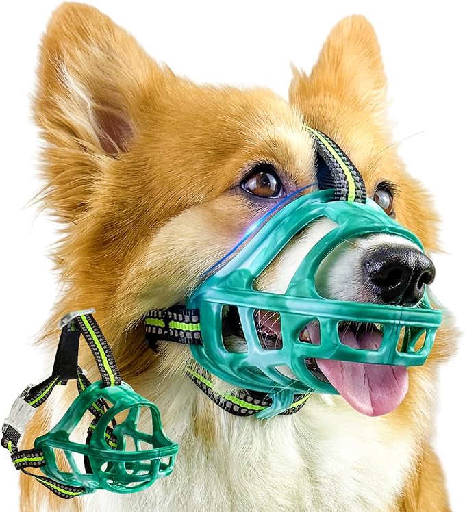 Dog Muzzle, Basket Muzzle for Small Medium Large Dogs, Anti-Biting and Chewing, Lightweight & Sturdy Cage Design, Allows Panting & Drinking, Ideal for Grooming & Training(Green Size XL)-Mewly Pet