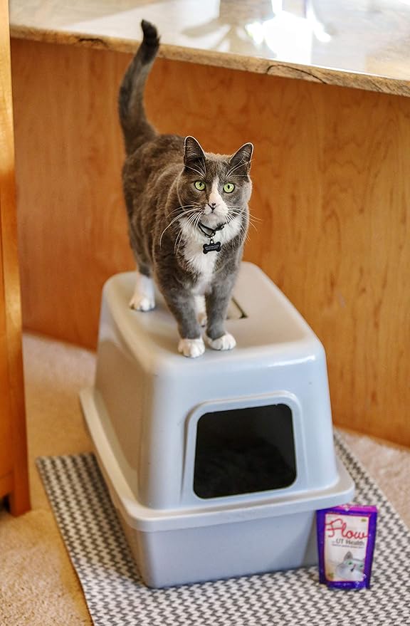 Flow Soft Chews for Cats. Daily Support for UT Health. Scientifically Formulated with Natural Ingredients to Keep Urinary Tract Flowing Naturally-Mewly Pet