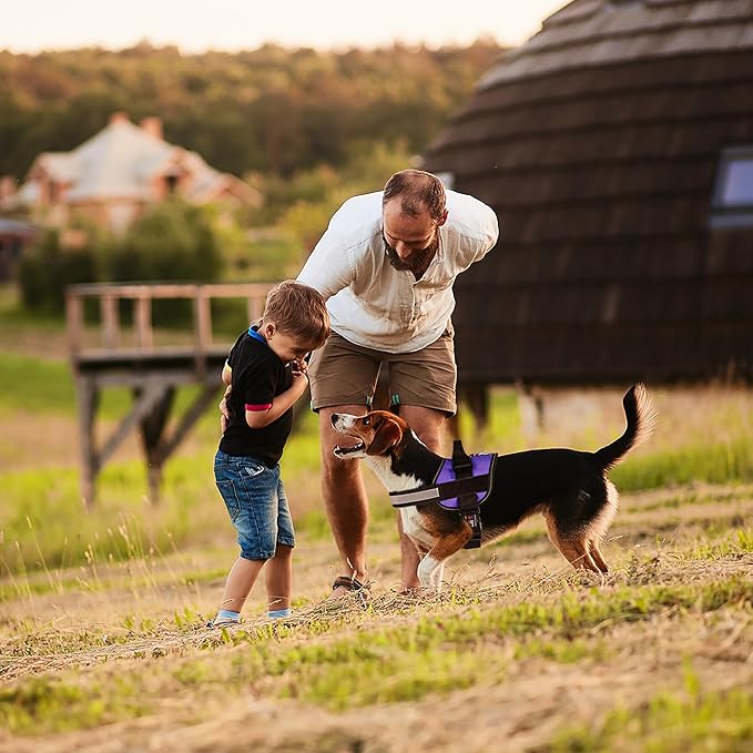 Dogline Dog Harness, Reflective No-Pull Adjustable Vest with Handle for Walking, Training, Breathable, No - Choke Harness for Small, Medium or Large Dogs Room for Patches Girth 33"-46" in Purple-Mewly Pet