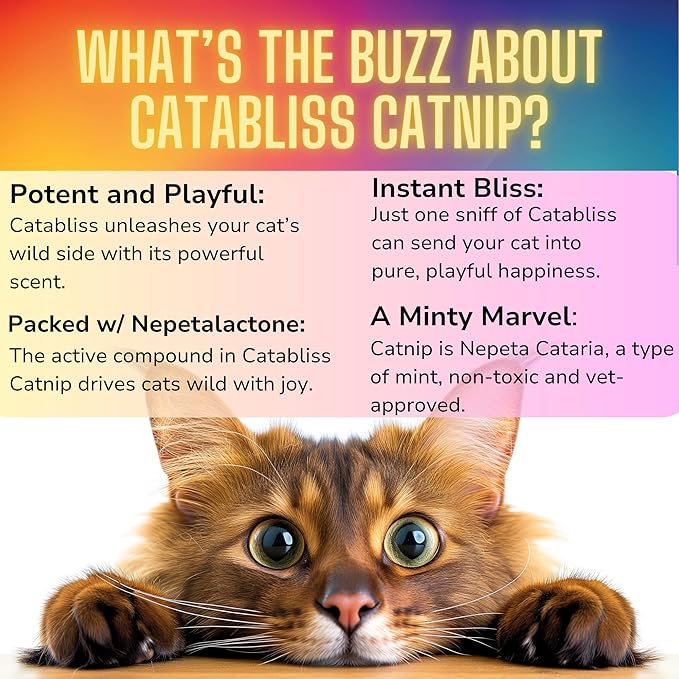 1oz Cat Nip for Cats, Turbo Charging Blend for Refillable Catnip Toys, 100% Essential Natural Cat Weed Treat, Non-Addictive, Enhancing Play for Indoor Cats-Mewly Pet