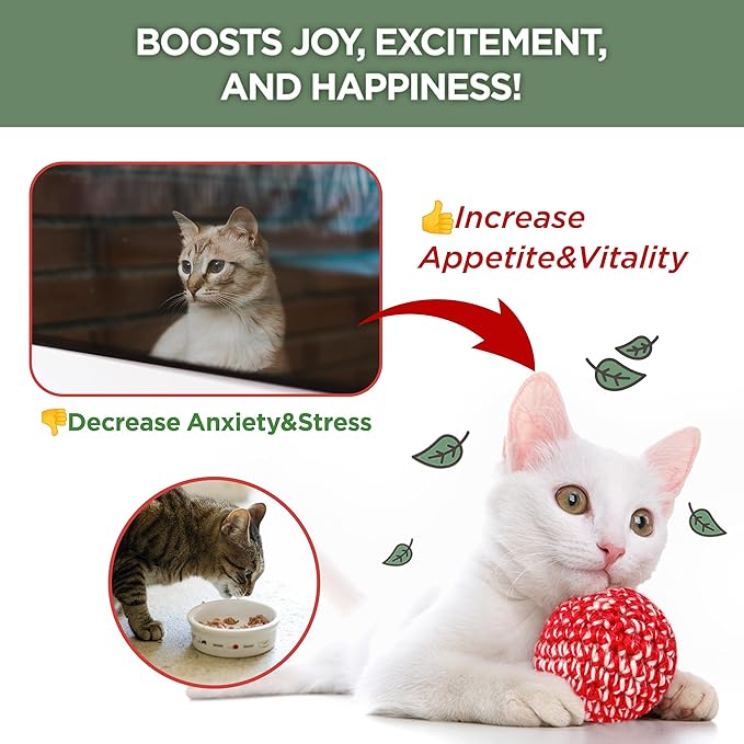JAYU PET Active Catnip Spray - High Potency Transparent Liquid Spray made of Fresh Organic Catnip for Indoor Cats and Kittens, Relieves Stress, Calming, Revives Toys (1fl oz) (Catnip Spray, 1fl oz)-Mewly Pet