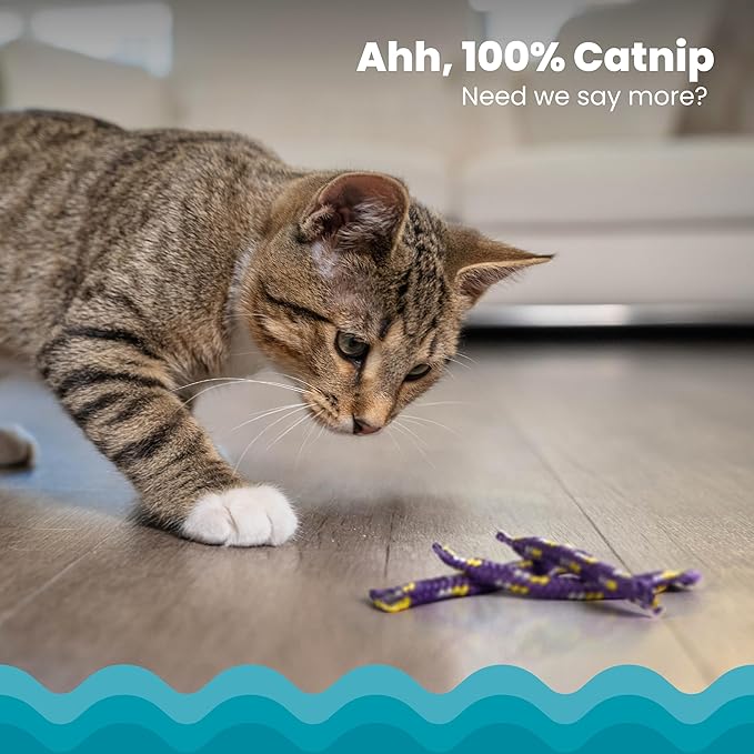 Catstages Nighttime Catnip Rolls Cat Toys - 3 Pack-Mewly Pet