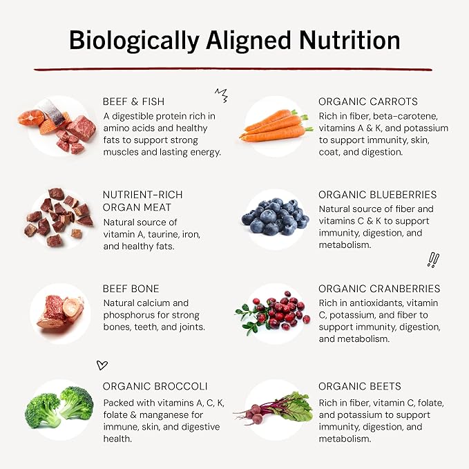 Stella & Chewy's Freeze-Dried Raw Dinner Patties - Surf 'N Turf Salmon & Beef Recipe - High Protein Grain-Free Puppy & Dog Food - Perfect For Picky Eaters - 14 oz-Mewly Pet