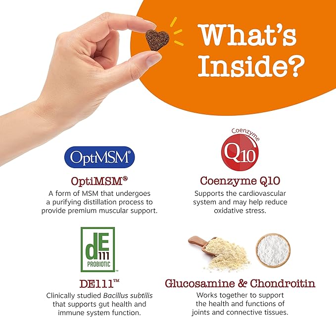 Zesty Paws Dog Multivitamin, Chewable Dog Vitamins and Supplements for Hip & Joints, Skin & Coat, Omega 3 Fish Oil for Dogs- Senior & Puppy Multivitamin - Bison- 90ct-Mewly Pet