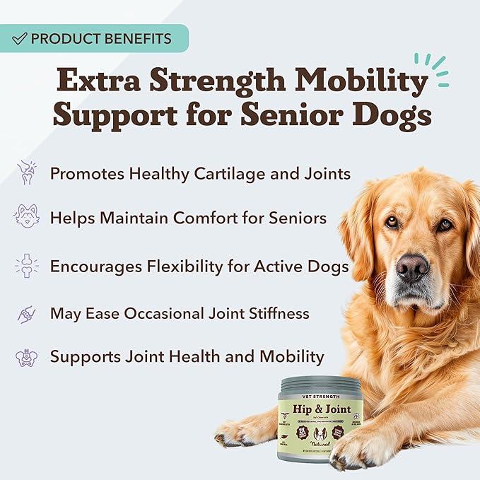 Natural Dog Company Vet Strength Hip & Joint Chews for Senior Dogs (90ct) Joint & Flexibility Support, Arthritis Relief for Senior Dogs, 1.3X Glucosamine, 2X Green Lipped Mussel & MSM for Dog Mobility-Mewly Pet