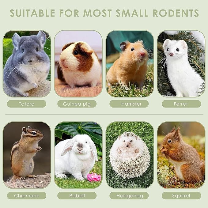 ERKOON Timothy Hay Sticks,Rabbit Chew Toys for Teeth Natural Molar Sticks Rabbits Treats for Bunnies, Chinchilla Guinea Pigs, Gerbil, Hamster (50 Pcs)-Mewly Pet