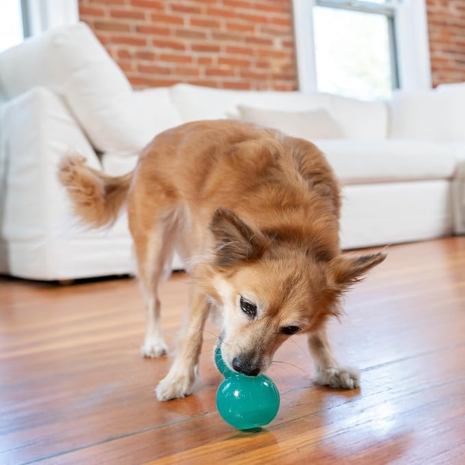 Outward Hound by Planet Dog Double-Tuff Interactive Treat-Dispensing Dog Toy, Medium, Blue-Mewly Pet