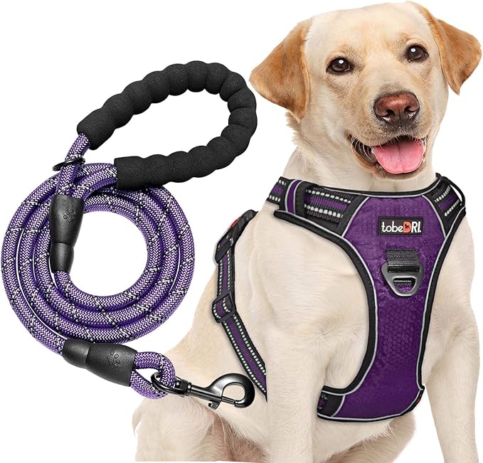No Pull Dog Harness Adjustable Reflective Oxford Easy Control Medium Large Harness with A Free Heavy Duty 5ft Leash (L (Neck: 18"-25.5", Chest: 24.5"-33"), Purple)-Mewly Pet