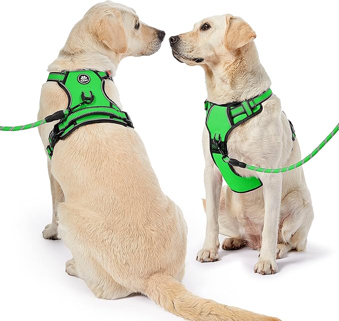 NESTROAD Dog Harness, Adjustable Oxford Harness with Leash, Reflective No-Choke Pet Vest with Easy Control Handle (M, Fluorescent Green)-Mewly Pet