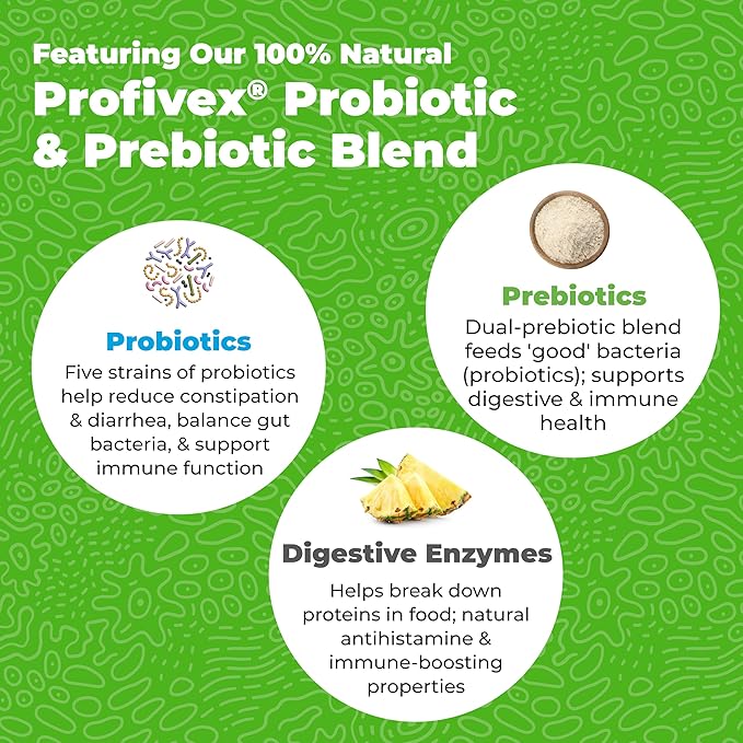 Vetnique Glandex Daily Probiotics for Dogs with Prebiotics to Support Gut Health with Fiber and Digestive Enzymes, Probiotic Chews or Powders (60ct Chews, Bacon Chews)-Mewly Pet