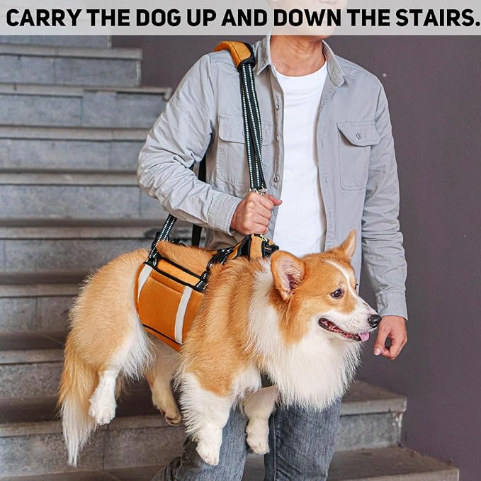 COODEO Mobility Dog Lift Harness, Emergency Carry Sling, Pet Rear Leg Support Rehabilitation Lifts Vest, Dog Carrier for Senior Dogs Joint Injuries, Arthritis (Orange, M)-Mewly Pet