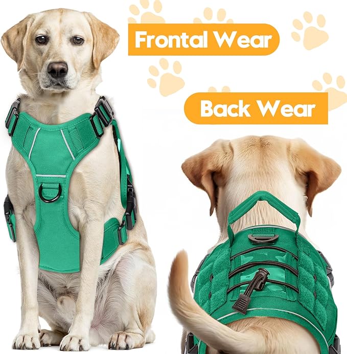 Heavy-Duty Tactical Dog Harness for Large Dogs, No Pull Adjustable Reflective Pet Vest with Molle System, K9 Military-Grade Control for Service Training, Outdoor & 10+ Breeds, Turquoise, Small-Mewly Pet