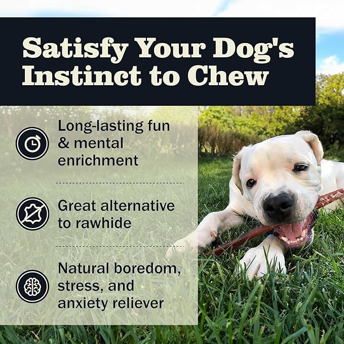 Redbarn Pet Products All Natural 8-12" Bully Sticks for Medium/Large Dogs - Healthy Long Lasting Chews Variety Party Pack - 100% Beef Single Ingredient Low Odor Rawhide Free - 1lb - Packaging May Vary-Mewly Pet
