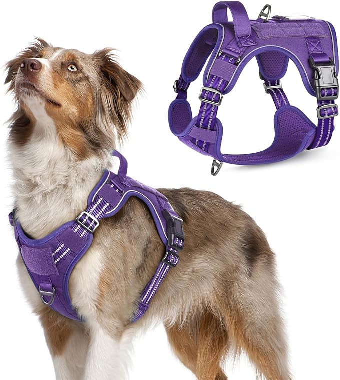 rabbitgoo Tactical Dog Harness Medium Sized Dog, No Pull Military Service Vest with Handle & Molle, Easy Control for Training Walking, Adjustable Reflective Straps, Purple, M-Mewly Pet