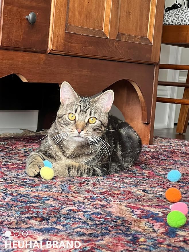 80-Pack Cat Toy Balls 10 Assorted Colors 1.25 Inch Diameter Suitable for All Cat Sizes (Cat Toys Value Pack)-Mewly Pet