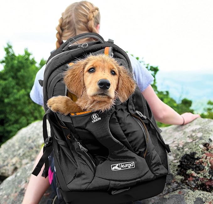 Kurgo G-Train - Dog Carrier Backpack for Small Pets - Cat & Dog Backpack for Hiking, Camping or Travel - Chest Straps & Hip Belt - Reflective - Two Water Bottle Sleeves - Waterproof Bottom (Black)-Mewly Pet
