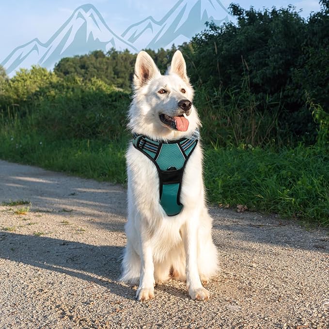 Eagloo Dog Harness Large Breed, No Pull Service Vest with Reflective Strips and Control Handle, Adjustable and Comfortable for Easy Walking, No Choke Pet Harness with 2 Metal Rings, Dark Green, XL-Mewly Pet