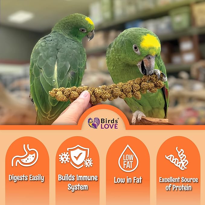 Birds LOVE Wholesome & Lovely Spray Millet Non-GMO for Birds Cockatiel Lovebird Parakeet Finch Canary All Parrots Healthy Treat - 2LBS-Mewly Pet