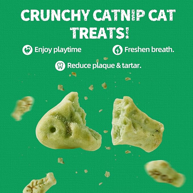 Just Try 13.4 OZ Crunchy Cat Treats Catnip Treats for Cats with Digestive Support, Natural Ingredients Kitten Treats with Real Salmon, Healthy Feline Snacks Training Biscuits Dental Care-Mewly Pet