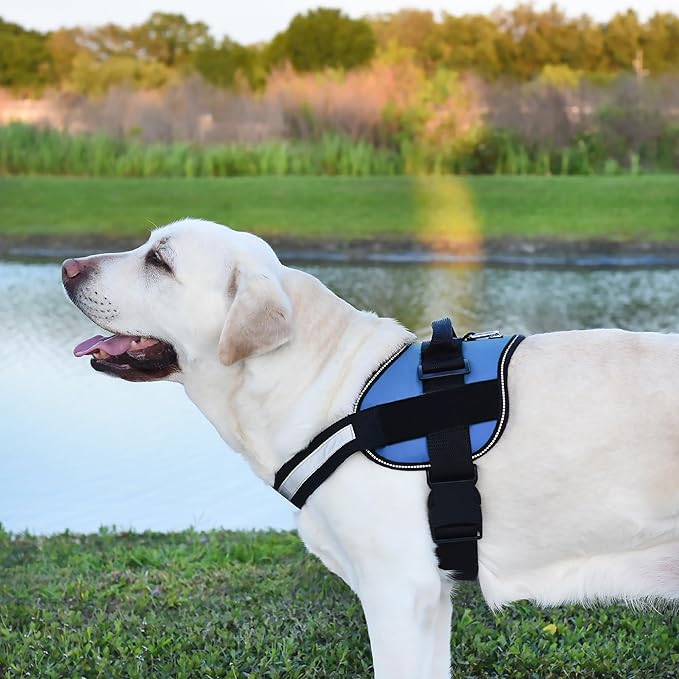 Dogline Dog Harness, Reflective No-Pull Adjustable Vest with Handle for Walking, Training, Breathable, No - Choke Harness for Small, Medium or Large Dogs Room for Patches Girth 27 to 34 in Cyan Blue-Mewly Pet