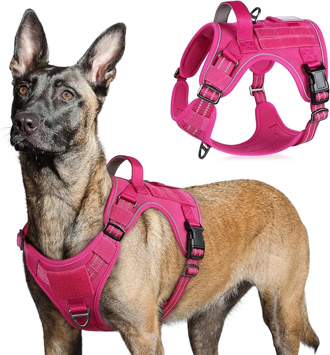 rabbitgoo Tactical Dog Harness for Large Dogs, No Pull Military Service Vest with Handle & Molle, Easy Control for Training Walking, Adjustable Reflective Straps, Rose Red, L-Mewly Pet