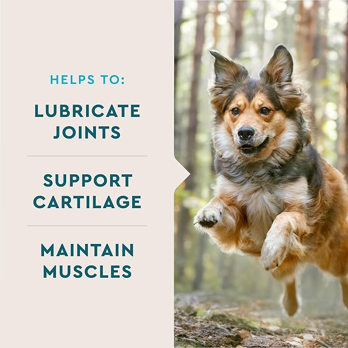 VetIQ Glucosamine Hip & Joint Supplement for Dogs, 180 Soft Chews, Dog Joint Support Supplement with MSM and Krill, Dog Health Supplies Large & Small Breed, Chicken Flavored Chewables-Mewly Pet