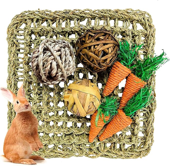 Hamiledyi Rabbit Seagrass Activity Mat Bunny Mat Rabbit Enrichment Toys Rabbit Chew Toys for Teeth Seagrass Protector Mat Small Animal Toys for Rabbit Bunny Chinchilla Guinea Pigs Rodent Pets-Mewly Pet