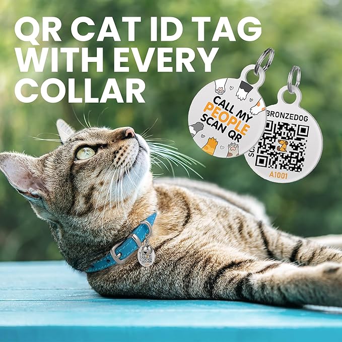 BRONZEDOG Leather Cat Collar with Removable Bells Non Breakaway Kitten QR Tag for Girl Boy (7" - 9" for Cats, Blue & Silver)-Mewly Pet
