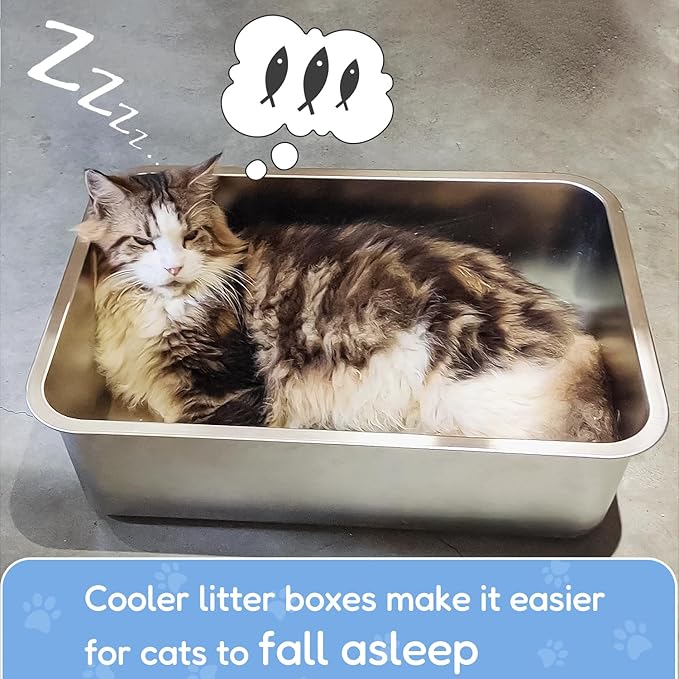 LIHONG Stainless Steel Cat Litter Box for Cat and Rabbit, Odor Control Litter Box Non Slip Rubber Feet. Odor Control, Non Stick, Never Bend 16" L x 12" W x 4" H-Mewly Pet