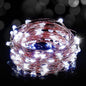 USB LED Fairy String Light, 1 Pack Copper Wire Fairy Lights for Indoor, Bedroom Festival Christmas Wedding Party Patio Decorative Window with USB Interface (33ft./10M,Cool White)