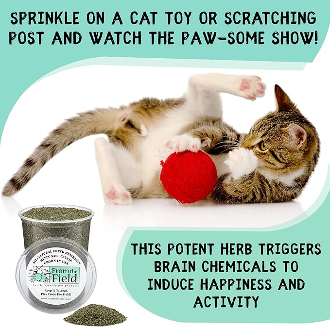 from The Field | Fine Ground Stalkless Catnip | Premium USA-Grown Catnip for Toys & Playtime | Fresh, Potent, Non-Toxic, Eco-Friendly | Safe for Kittens & Cats | Resealable 1 oz Can-Mewly Pet