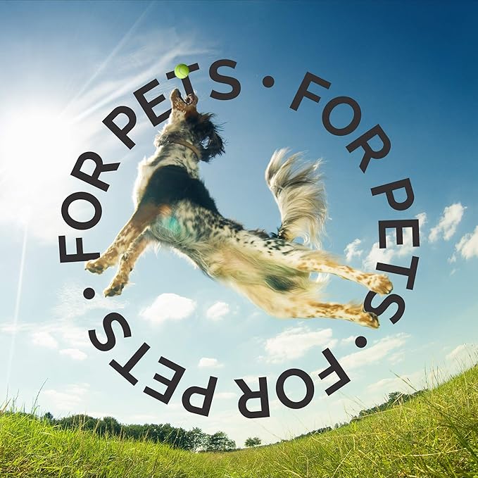 Bark2Basics Rock The Dog Oatmeal Dog Shampoo, 1 Gallon - Natural Colloidal Oatmeal, Natural, Calms Dry Itchy Irritated Skin, Moisturizes and Soothes The Skin and Coat, Professional Grade-Mewly Pet