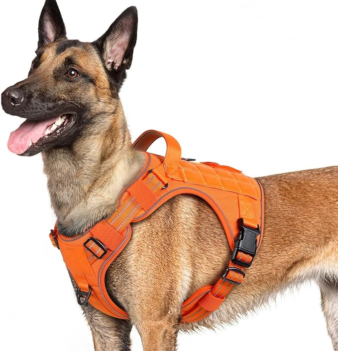 rabbitgoo Dog Harness for Large Dogs No Pull, Tactical Service Pet Vest with Molle and Control Handle, Adjustable and Reflective Military Harness for Easy Walking and Training, Orange, L-Mewly Pet