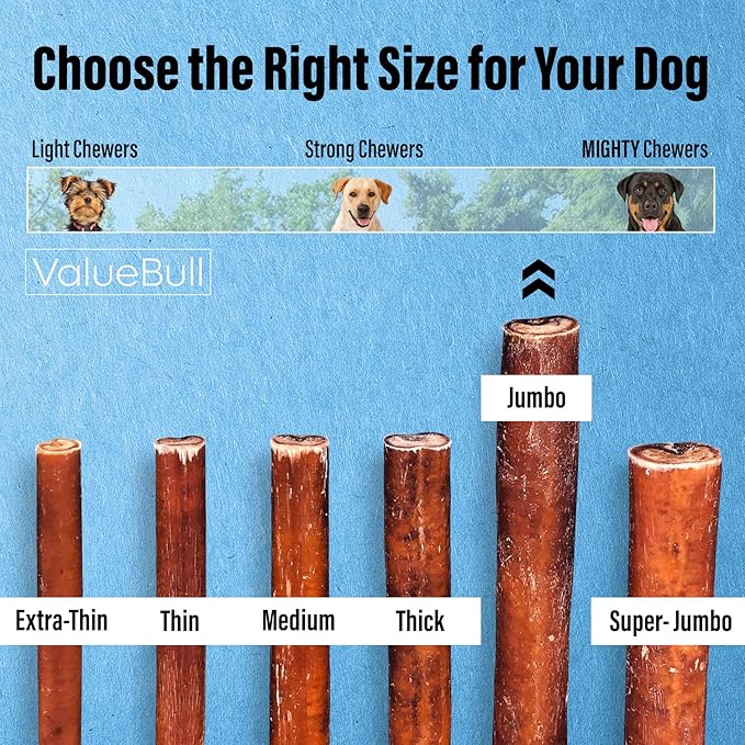 ValueBull Bully Sticks for Large Dogs, Jumbo 6 Inch, 50 Count - All Natural, Grass Fed, Single Ingredient, Long Lasting Dog Treats for Aggressive Chewers-Mewly Pet