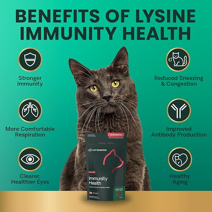 VetriScience Lysine Immunity Health Chews, 250 mg Lysine Plus Immune Supplement for Cats and Kittens with Allergies, Sneezing, Runny Nose and Watery Eyes, Chicken, 120 Count-Mewly Pet