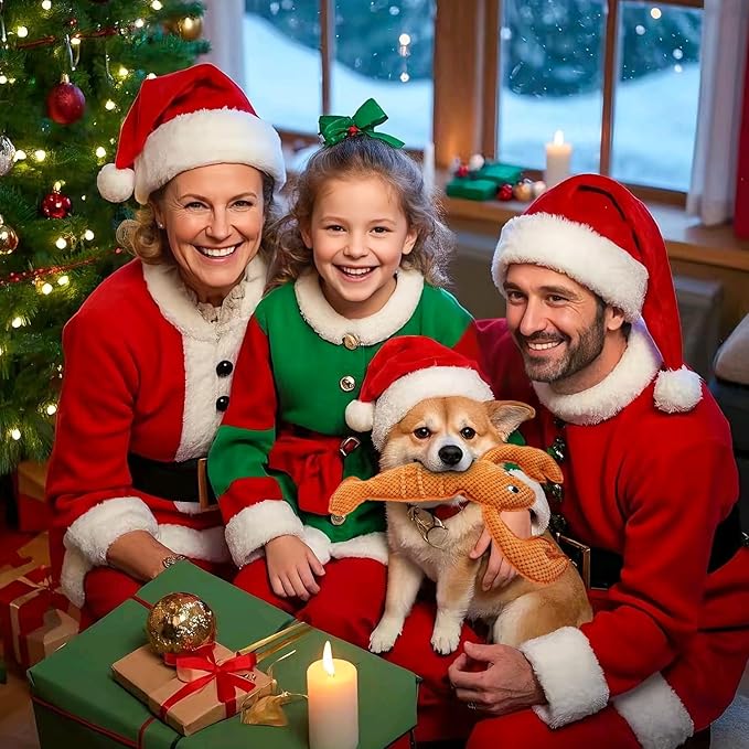 Squeaky Dog Toy No Stuffed Dog Toys,Lobster Puppy Toys for Small Medium Large Breed pups Teething Interactive Toy to Keep Them Busy, Best Christmas Birthday Gift-Mewly Pet