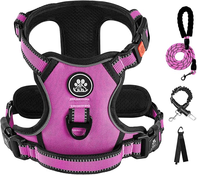 IVY&LANE No Pull Dog Harness for Small Dogs, Dog Vest Harness with Leash, Safety Belt and Storage Strap, Fully Adjustable Harness, 360° Reflective Strip, Soft Handle (Fuchsia Pink,S)-Mewly Pet