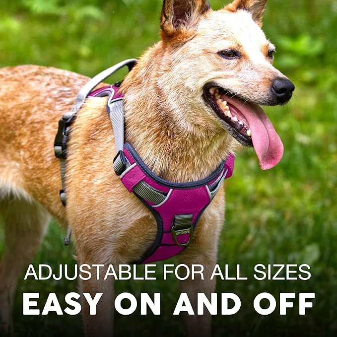 Embark Adventure Dog Harness, No-Pull Reflective Trim Dog Harness for Small, Medium & Large Dogs - Military Grade Nylon, 2 Leash Clips & Gel Lined Handle. Soft & Padded Puppy Dog Vest for Any Breed-Mewly Pet