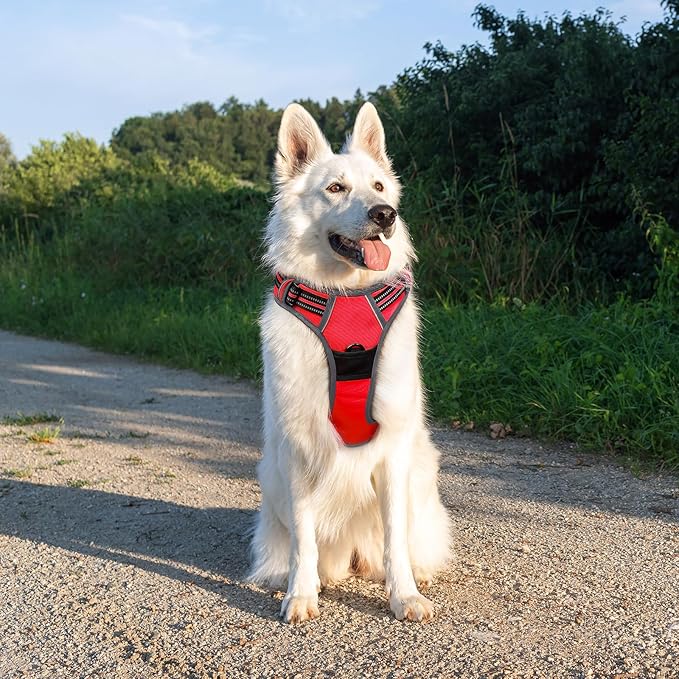 Eagloo Dog Harness Large Breed, No Pull Service Vest with Reflective Strips and Control Handle, Adjustable and Comfortable for Walking, No Choke Pet Harness with 2 Metal Rings, Red, XL-Mewly Pet