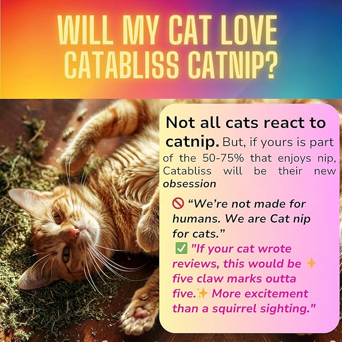 1oz Cat Nip for Cats, Turbo Charging Blend for Refillable Catnip Toys, 100% Essential Natural Cat Weed Treat, Non-Addictive, Enhancing Play for Indoor Cats-Mewly Pet