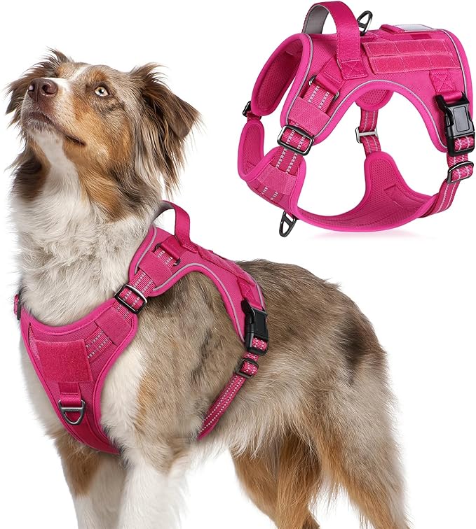 rabbitgoo Tactical Dog Harness Medium Sized Dog, No Pull Military Service Vest with Handle & Molle, Easy Control for Training Walking, Adjustable Reflective Straps, Rose Red, M-Mewly Pet