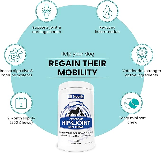 Nootie Glucosamine for Dogs - 250 ct - Hip and Joint Soft Chews Supplement for Dogs - Daily Dog MSM Chondroitin Chews with Turmeric - Joint Care Vitamins for All Breeds and Sizes USA-Mewly Pet